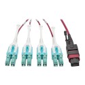 Tripp Lite MTP/MPO to 8xLC Fan-Out Patch Cable, 40 GbE, 40GBASE-SR4, OM4 Plenum-Rated, Push/Pull Tab, Magenta, 1M