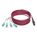 Tripp Lite MTP/MPO to 8xLC Fan-Out Patch Cable, 40 GbE, 40GBASE-SR4, OM4 Plenum-Rated, Push/Pull Tab, Magenta, 5M